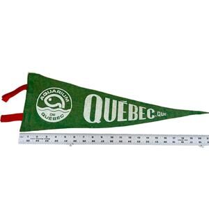 Aquarium De Quebec VINTAGE late '70s Felt Pennant 21" Canada Fish Green